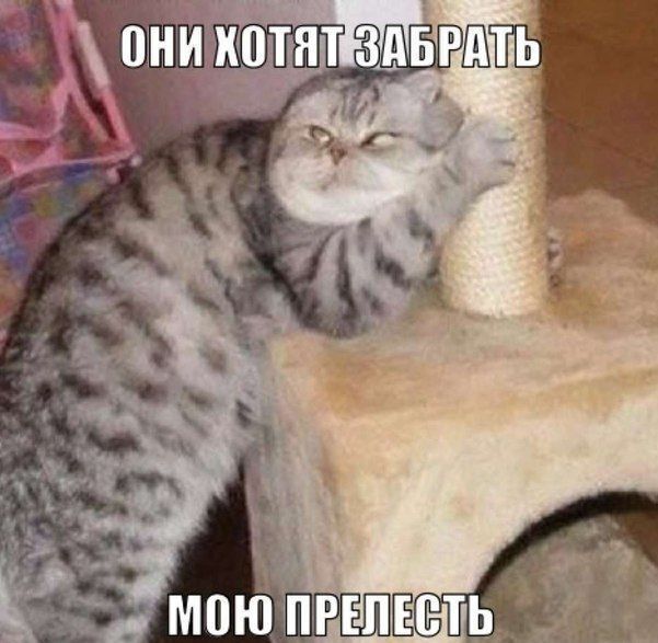 Фотоприкол онлайн бесплатно