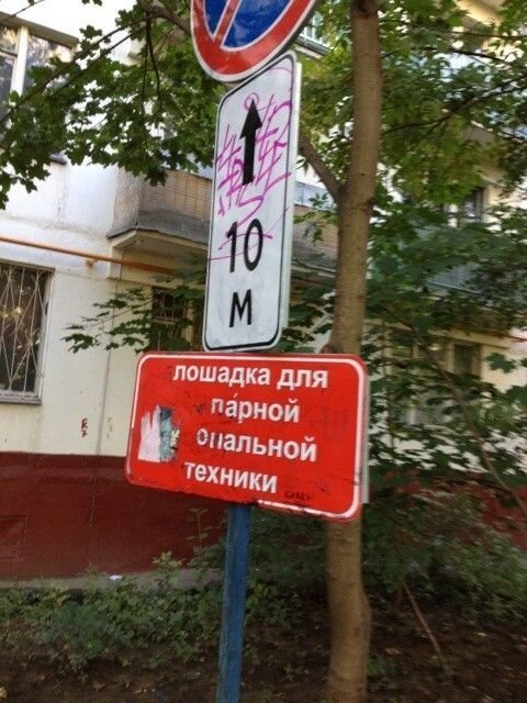 Смешная фотогалерея