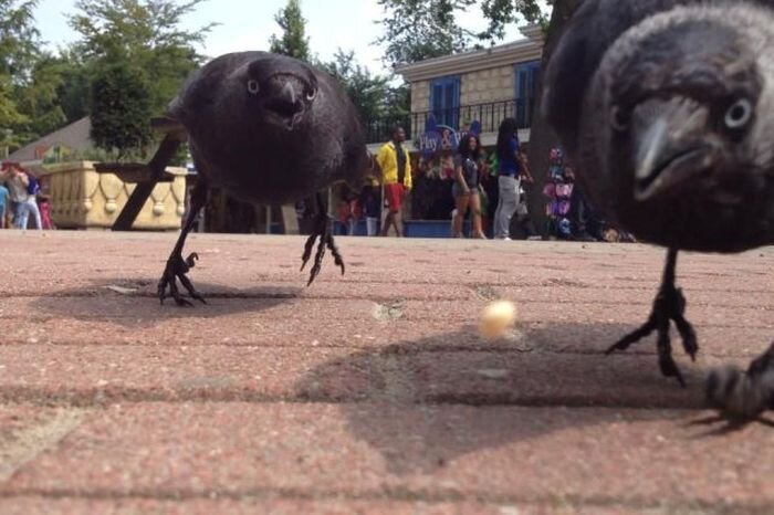 Пикантный фотоприкол