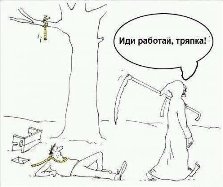 Прикольные фото