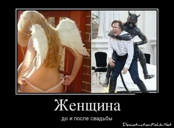Демотиватор