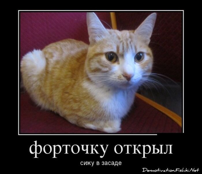 Смешной демотиватор от zubrilov за 07.09.2012 №128030