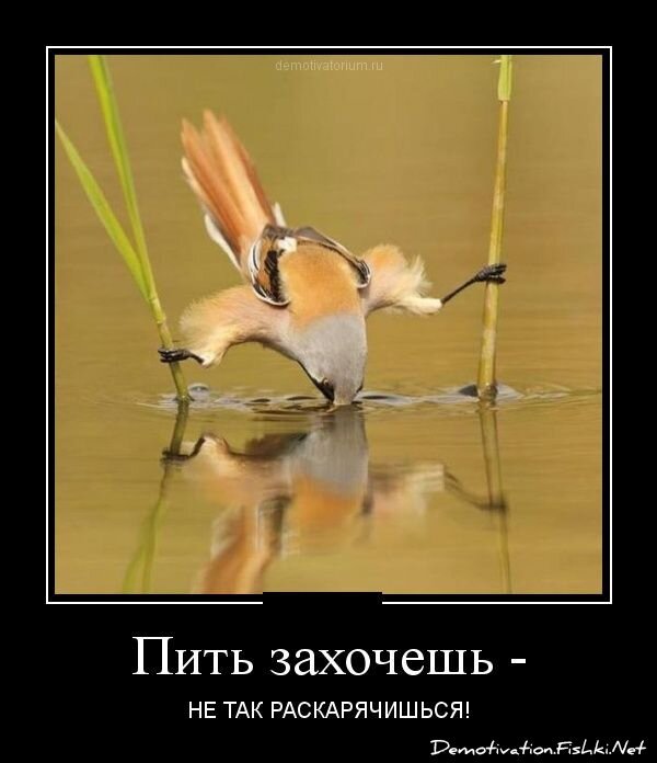 Демотиватор