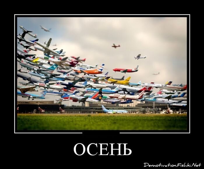 Демотиватор