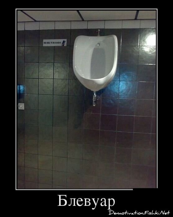 Демотиватор