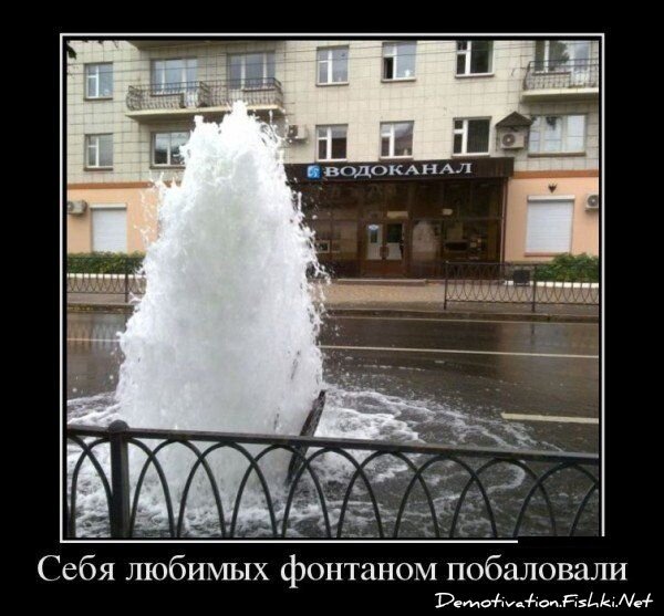 Смешной демотиватор от zubrilov за 14.09.2012 №128900