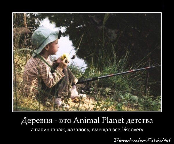 Демотиватор