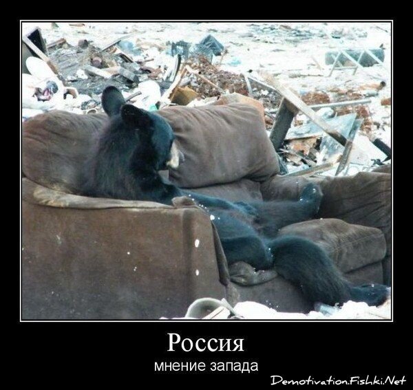Смешной демотиватор от zubrilov за 14.09.2012 №128931