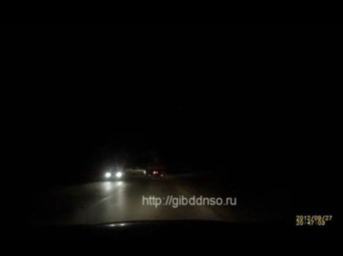 Видео дня