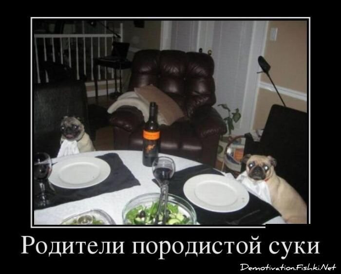 Демотиватор