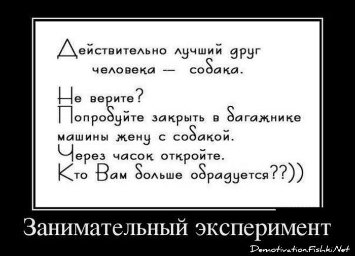 Демотиватор