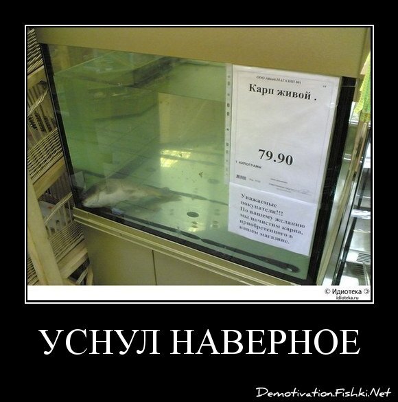 Уснул наверное