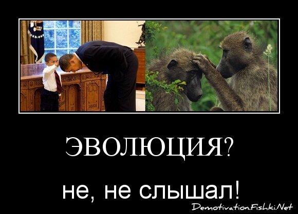 Эволюция?