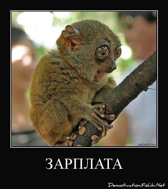 Зарплата