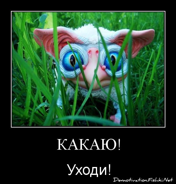 какаю!