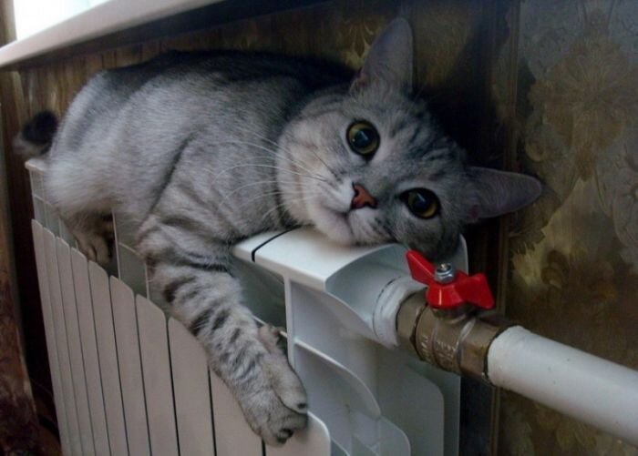 Бугагашеньки