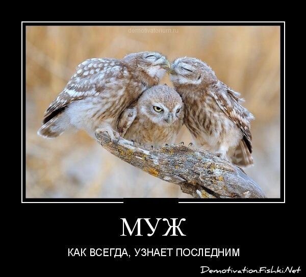 Смешной демотиватор от zubrilov за 10.10.2012 №131822