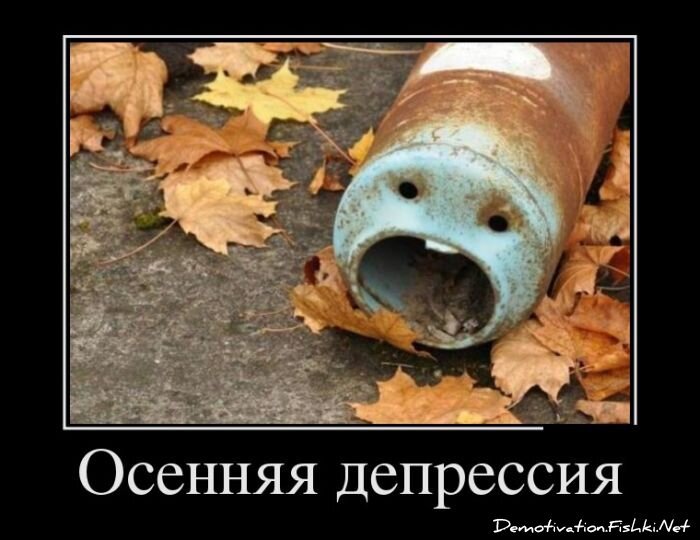 Смешной демотиватор от zubrilov за 10.10.2012 №131849
