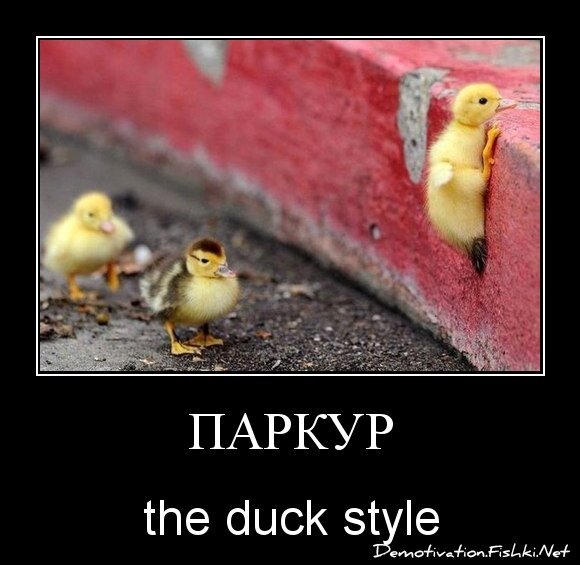 паркур