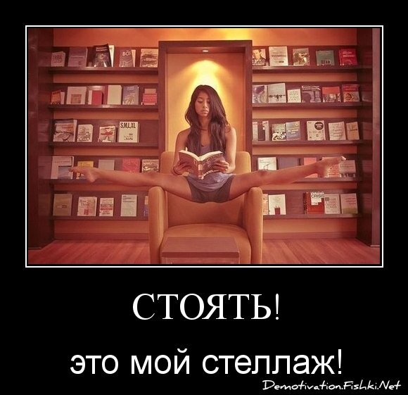 стоять!