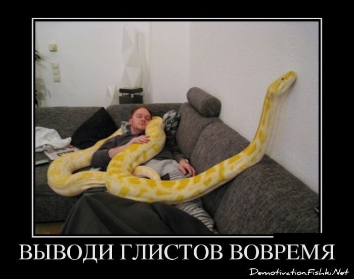 Демотиватор