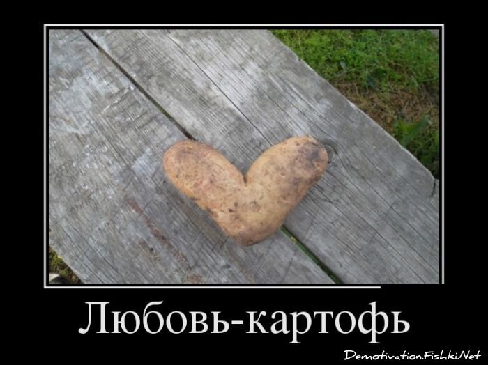 Демотиватор