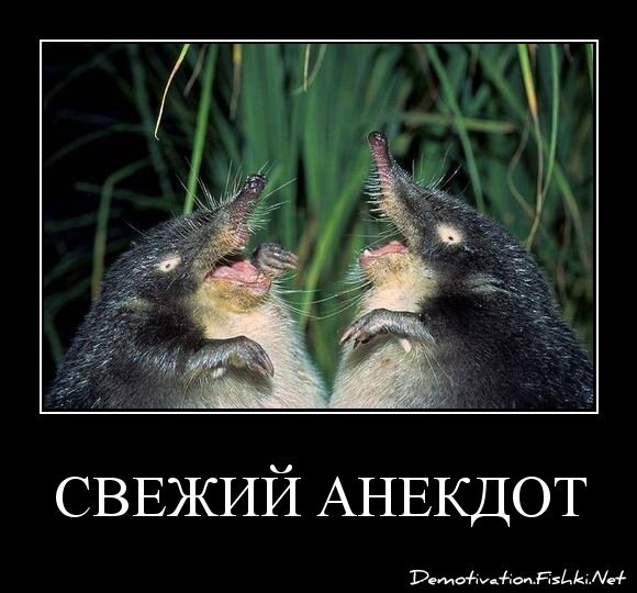 СВЕЖИЙ АНЕКДОТ