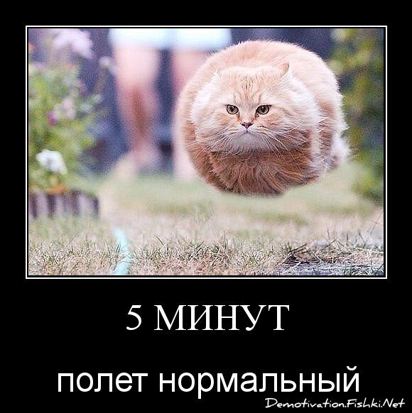 5 минут