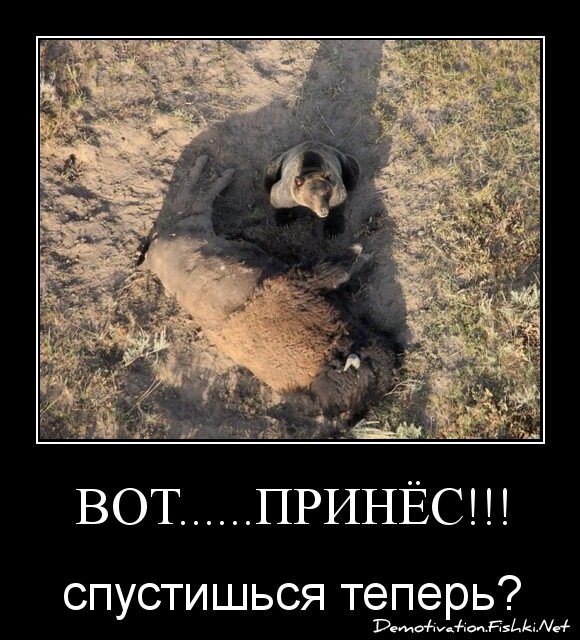 ВОТ......ПРИНЁС!!!