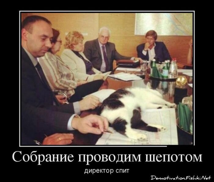 Смешной демотиватор от zubrilov за 17.10.2012 №132807