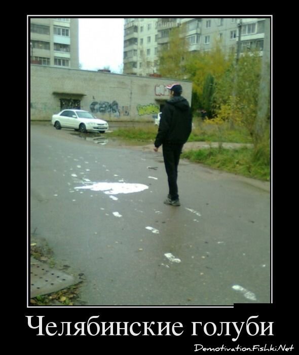 Смешной демотиватор от zubrilov за 19.10.2012 №133188