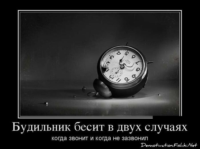 Смешной демотиватор от zubrilov за 19.10.2012 №133213