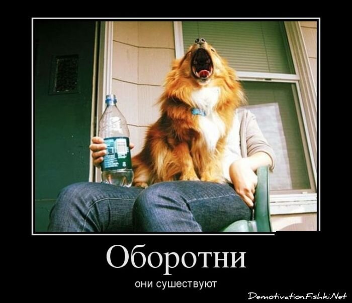 Демотиватор