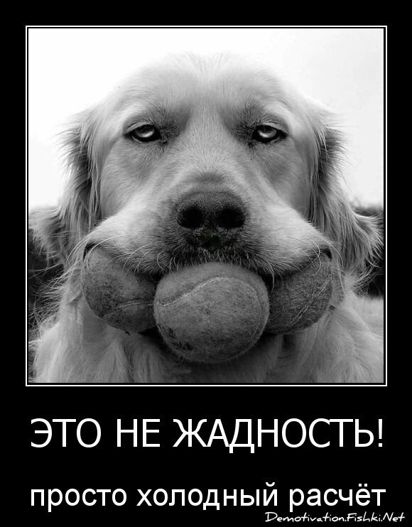 это не жадность!