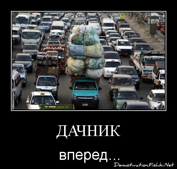 ДАЧНИК