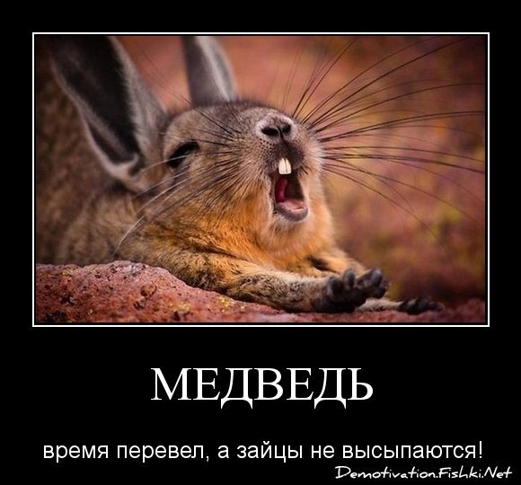 Медведь