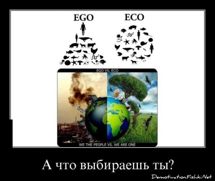 Смешной демотиватор от zubrilov за 24.10.2012 №133738