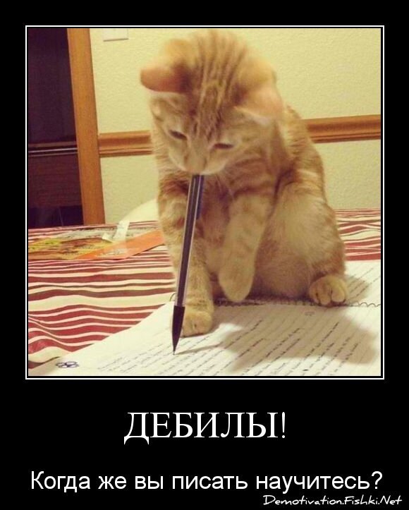 Дебилы!