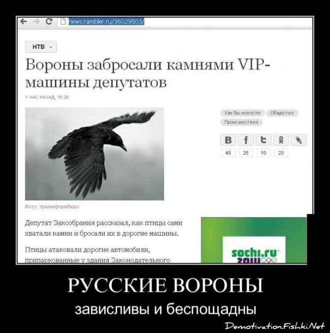 Смешной демотиватор от zubrilov за 26.10.2012 №134097