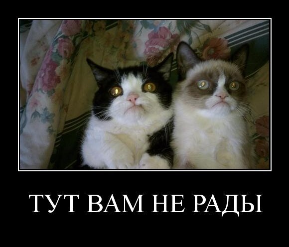 тут вам не рады