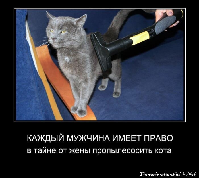 Смешной демотиватор от zubrilov за 29.10.2012 №134422