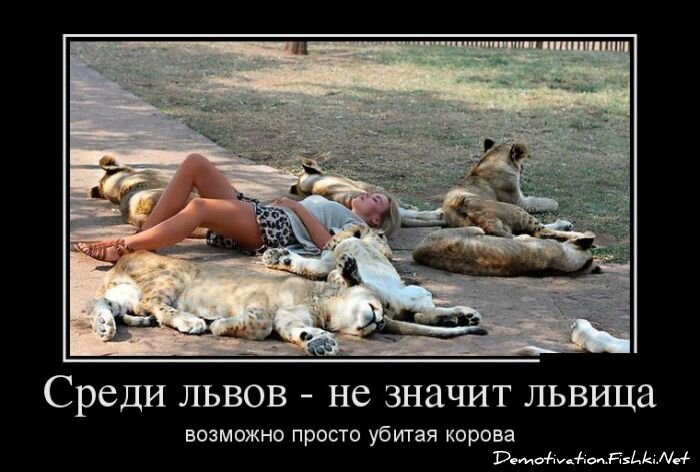 Демотиватор