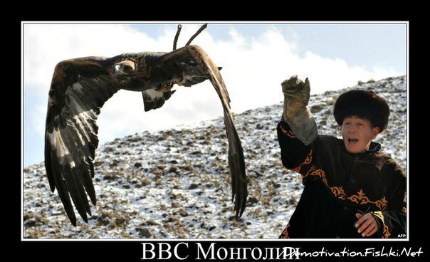 Демотиватор