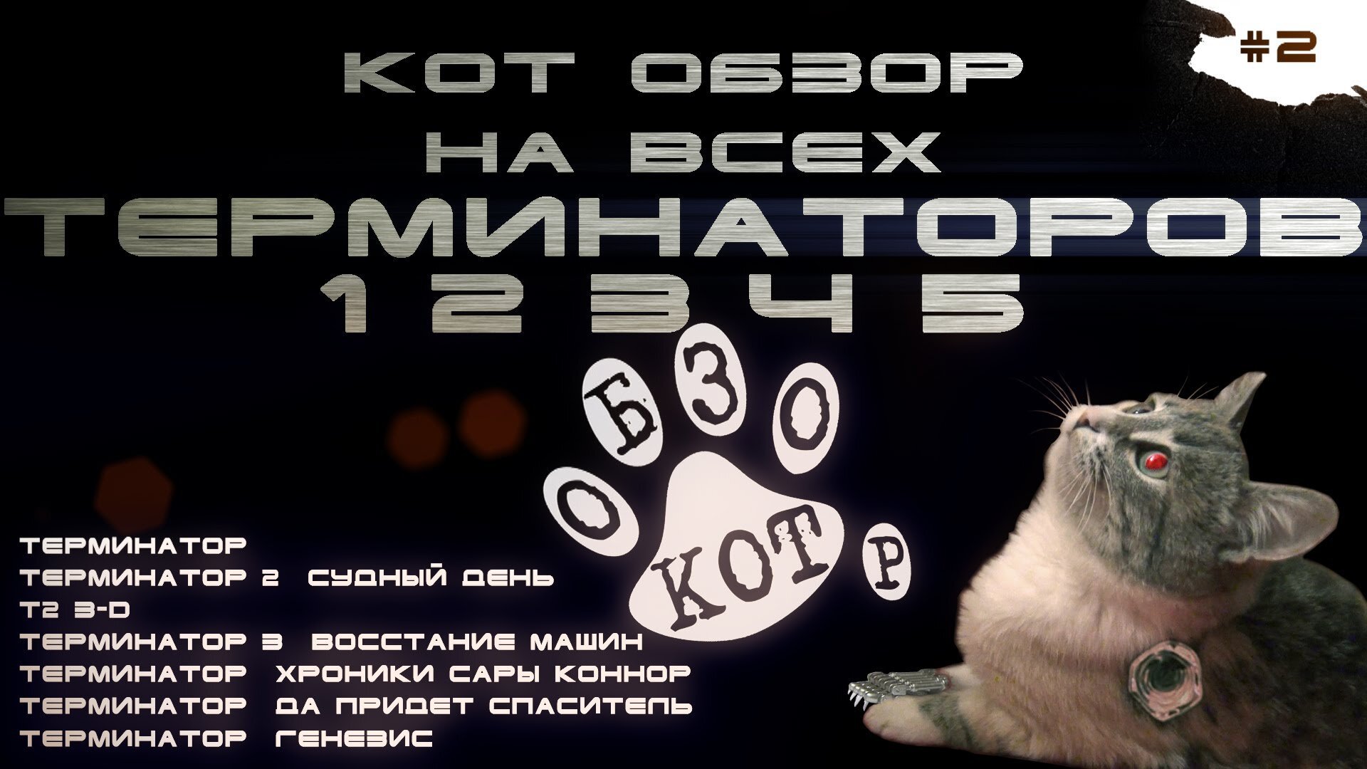 Кот терминатор
