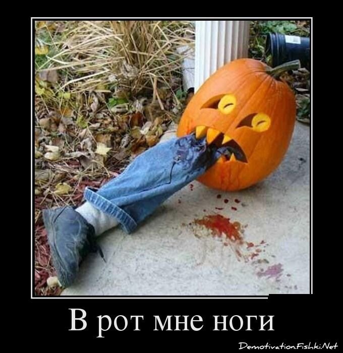 Демотиватор