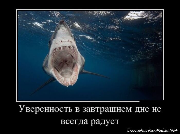 Демотиватор