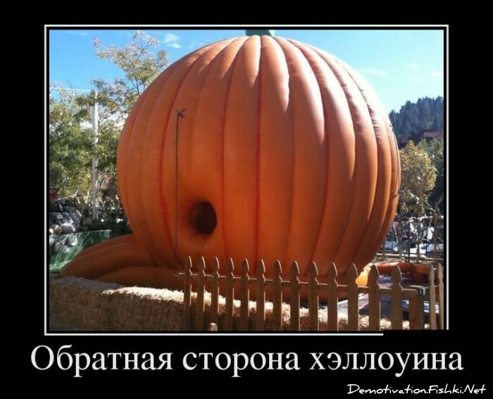Демотиватор