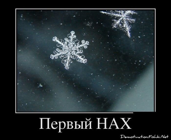 Смешной демотиватор от zubrilov за 31.10.2012 №134798