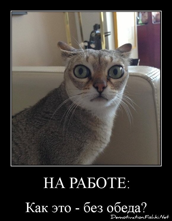 на работе: