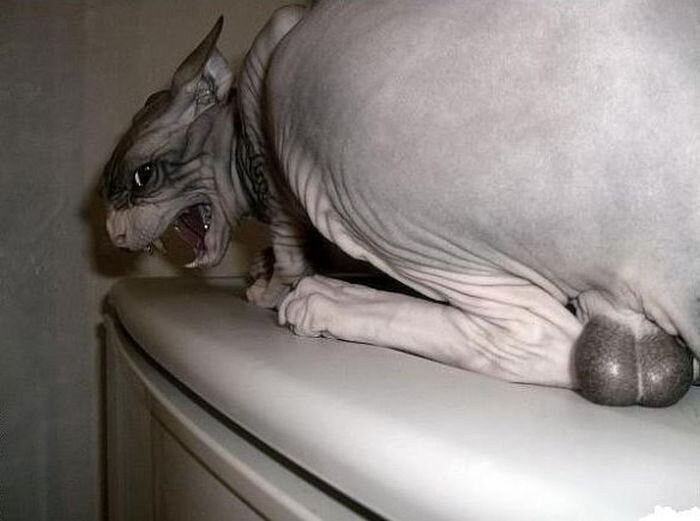 Зачетное фото